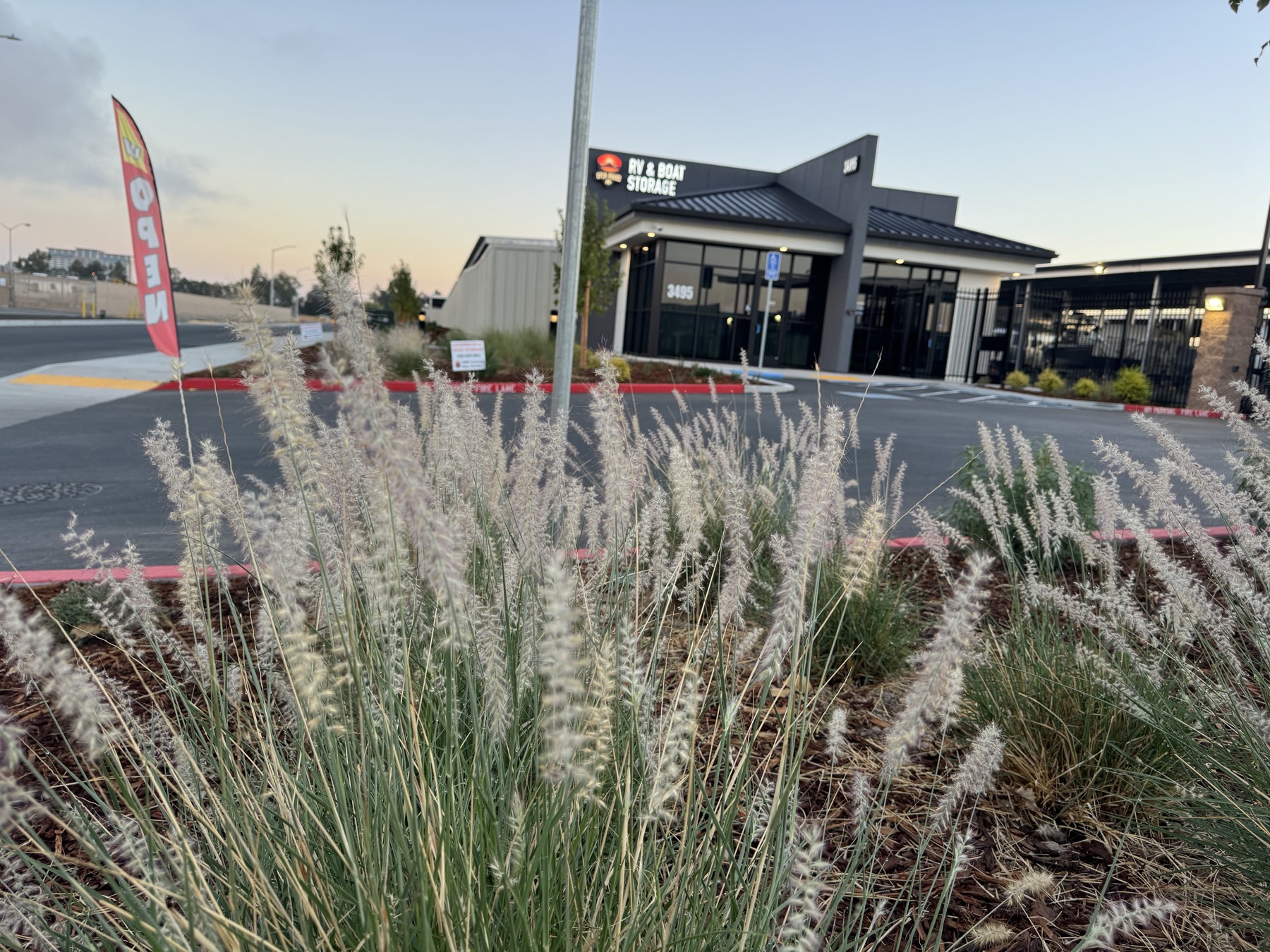 Commercial landscape installation with ornamental grasses and finished building frontage