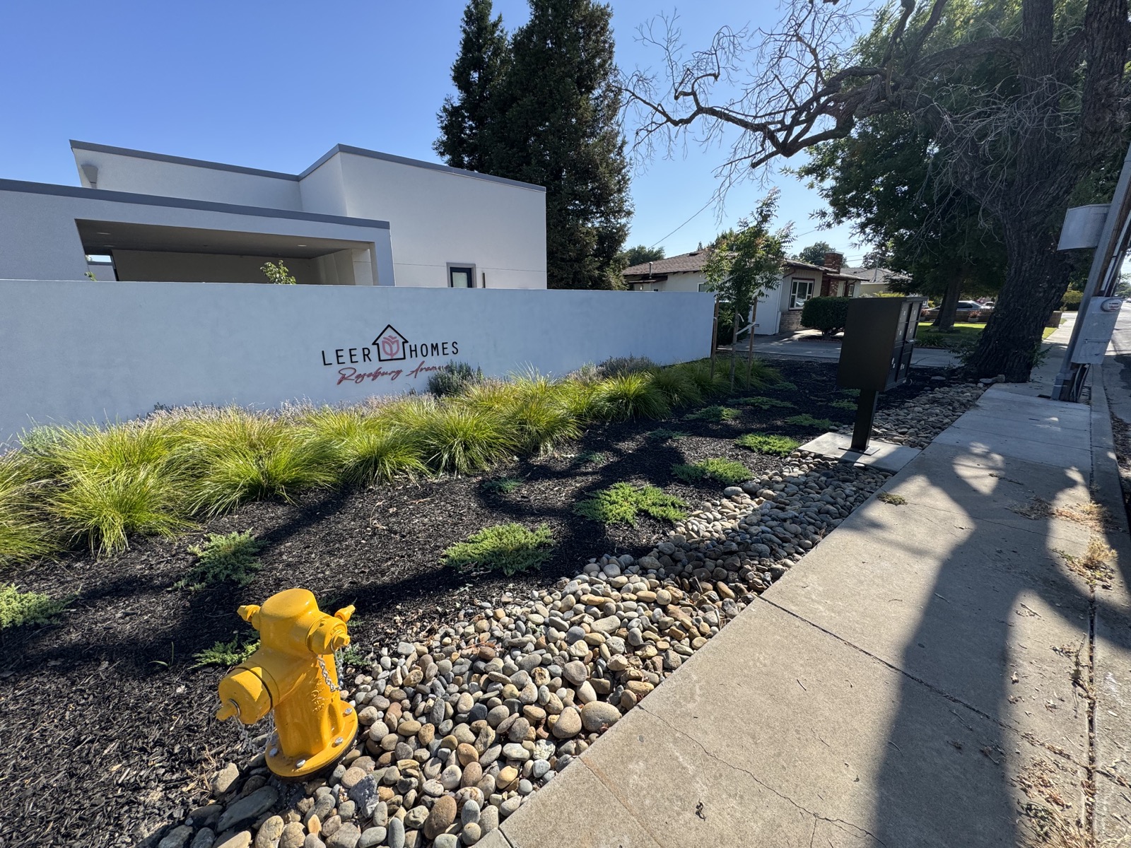 Maintained commercial frontage with ornamental grasses and dry creek stone
